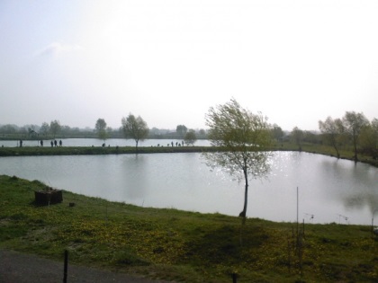 Pescăria Berini