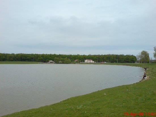 Balta Colacu 1