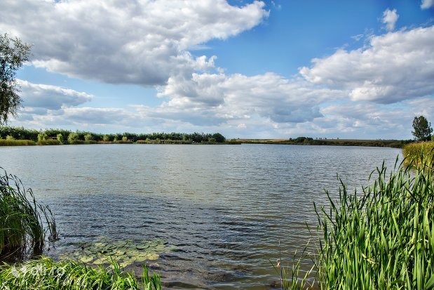 Lac Ianculești (Carei)