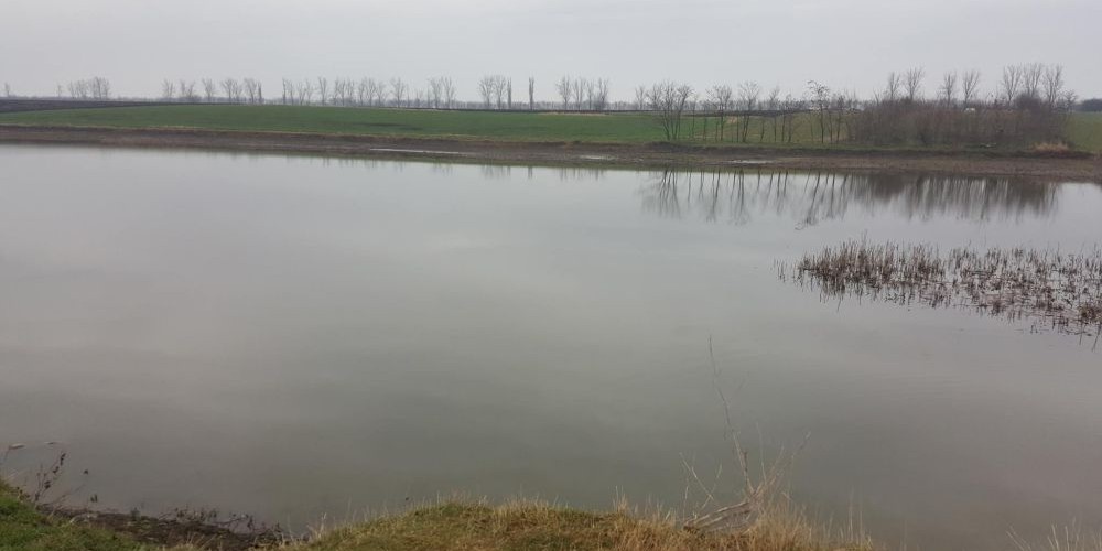 Carp Lake Săpunari