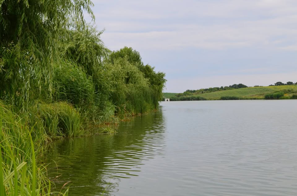 Balta Bila 2
