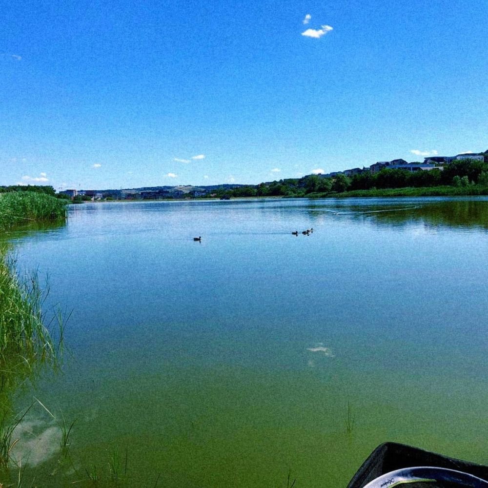 Rediu Lake Iași