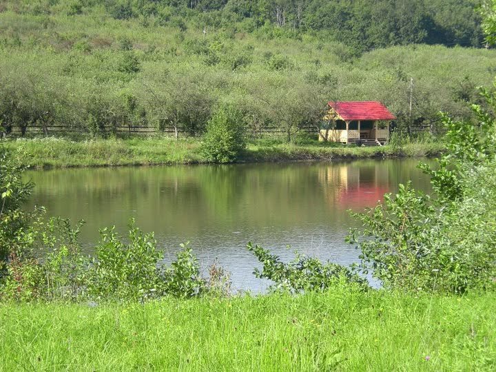 Lacul 1 Tocile – La Pești