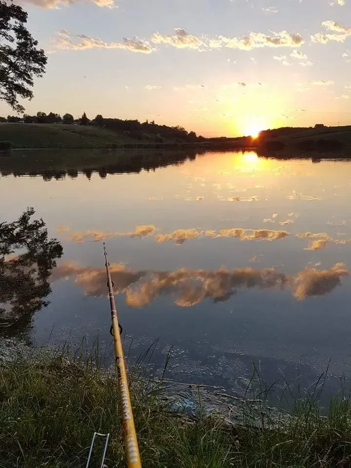 Iazul Luizoaia (Botoșani)