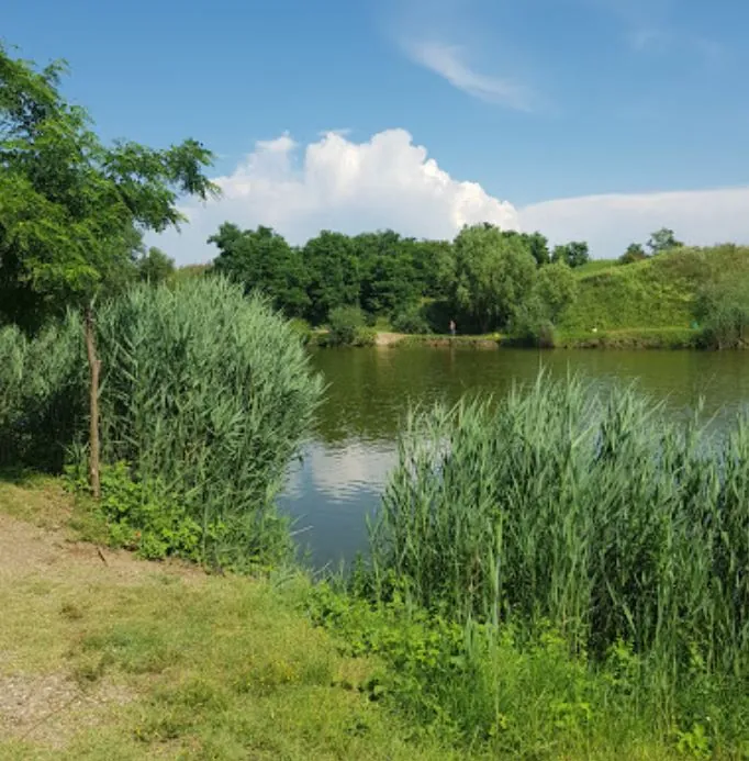 Balta Feldioara