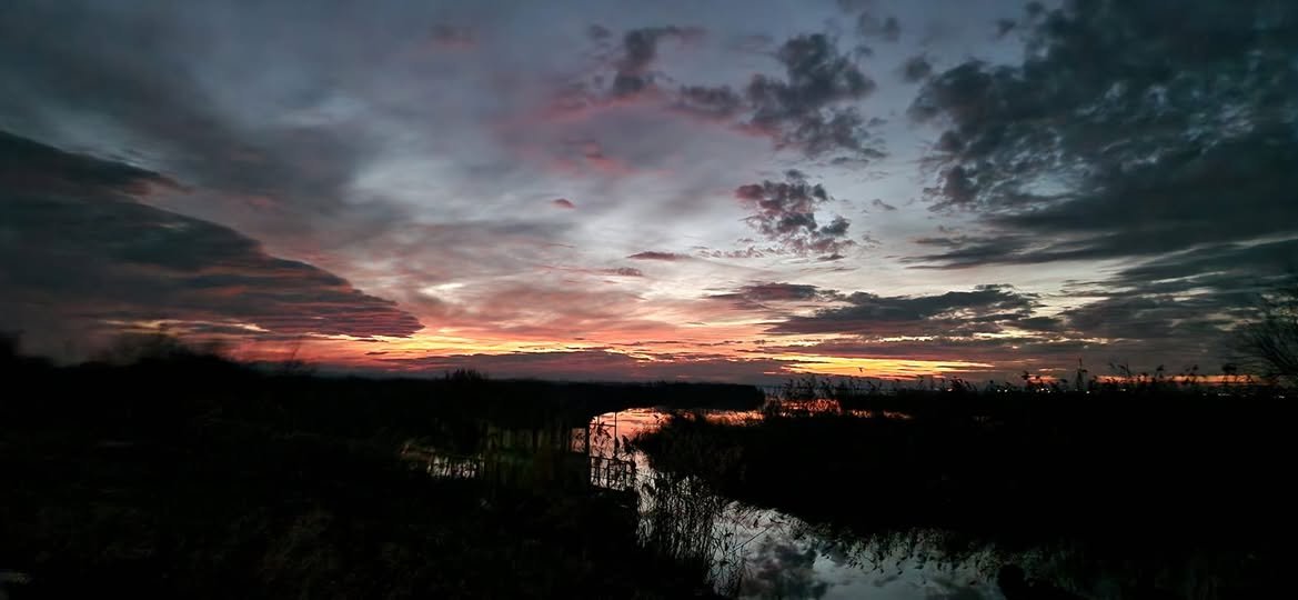Gârla lui Iancu