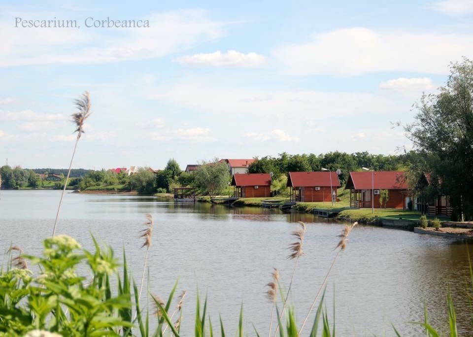 Balta Corbeanca 2