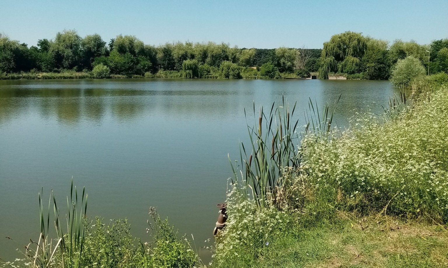 Complex Agrement Lac Racovița