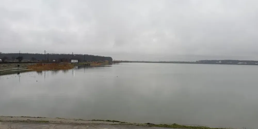 Balta Ilfoveni 5