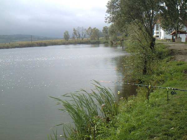 Balta Romos
