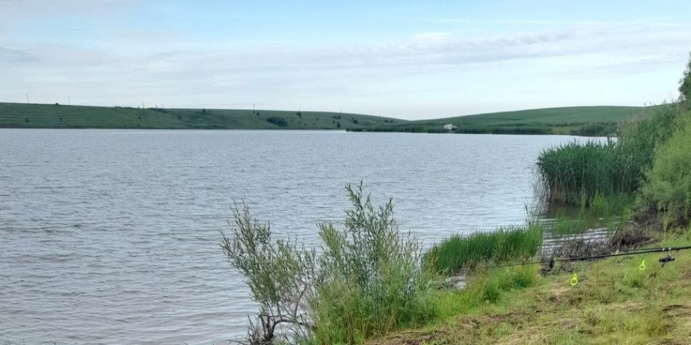 Balta Larga (Brânceni)