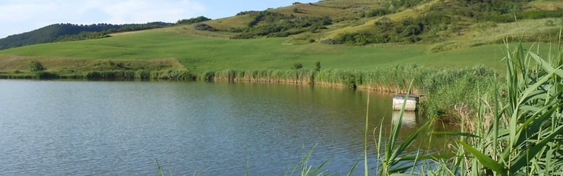 Lacul Bala