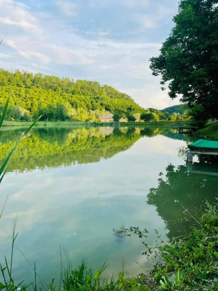 Balta Boiu Mare