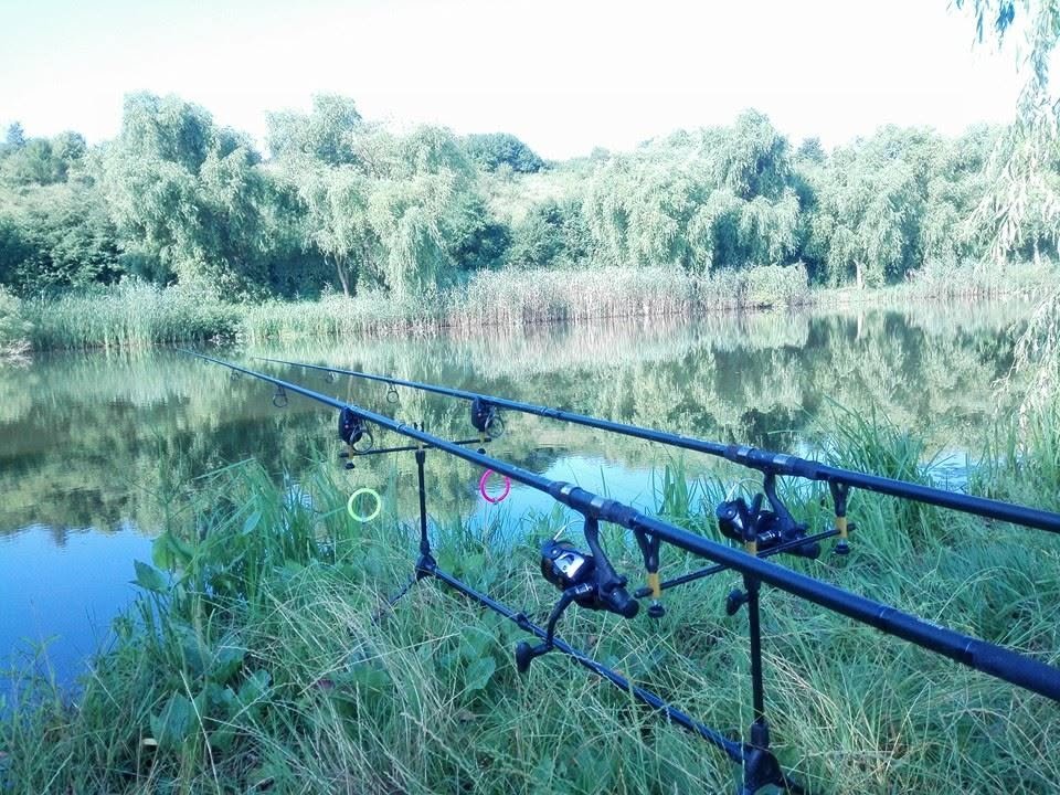 Balta Singureni