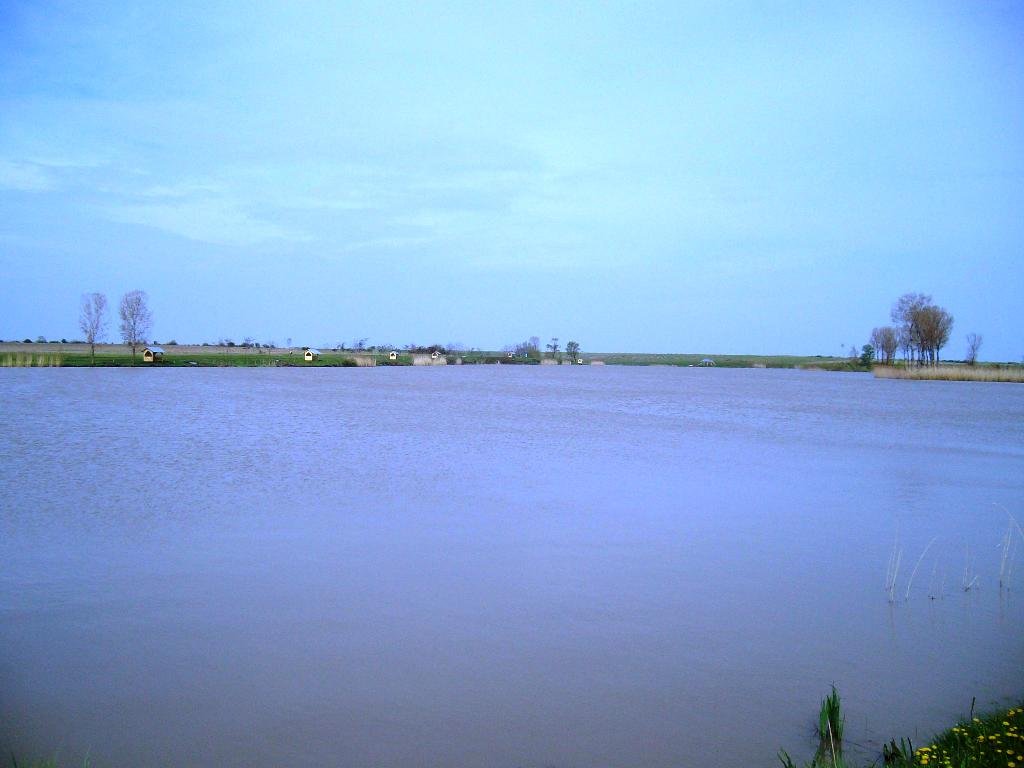 Balta Teiu