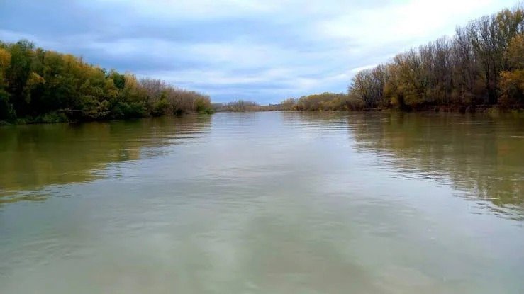 Dunărea — Corabia