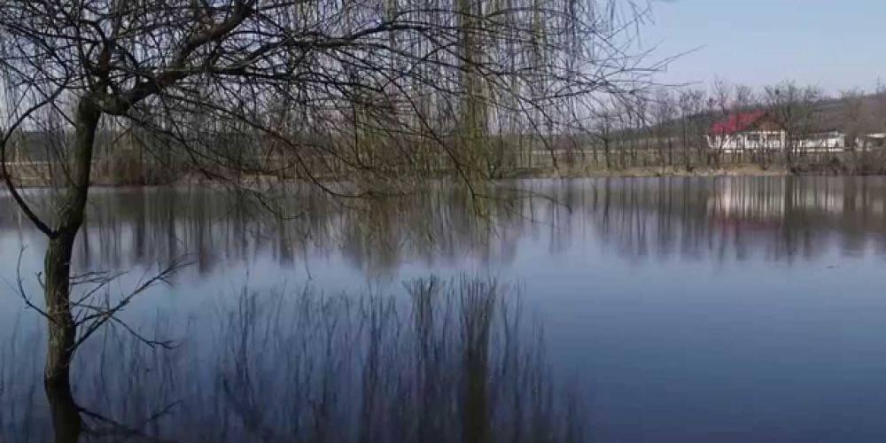 Bălțile de la Moi