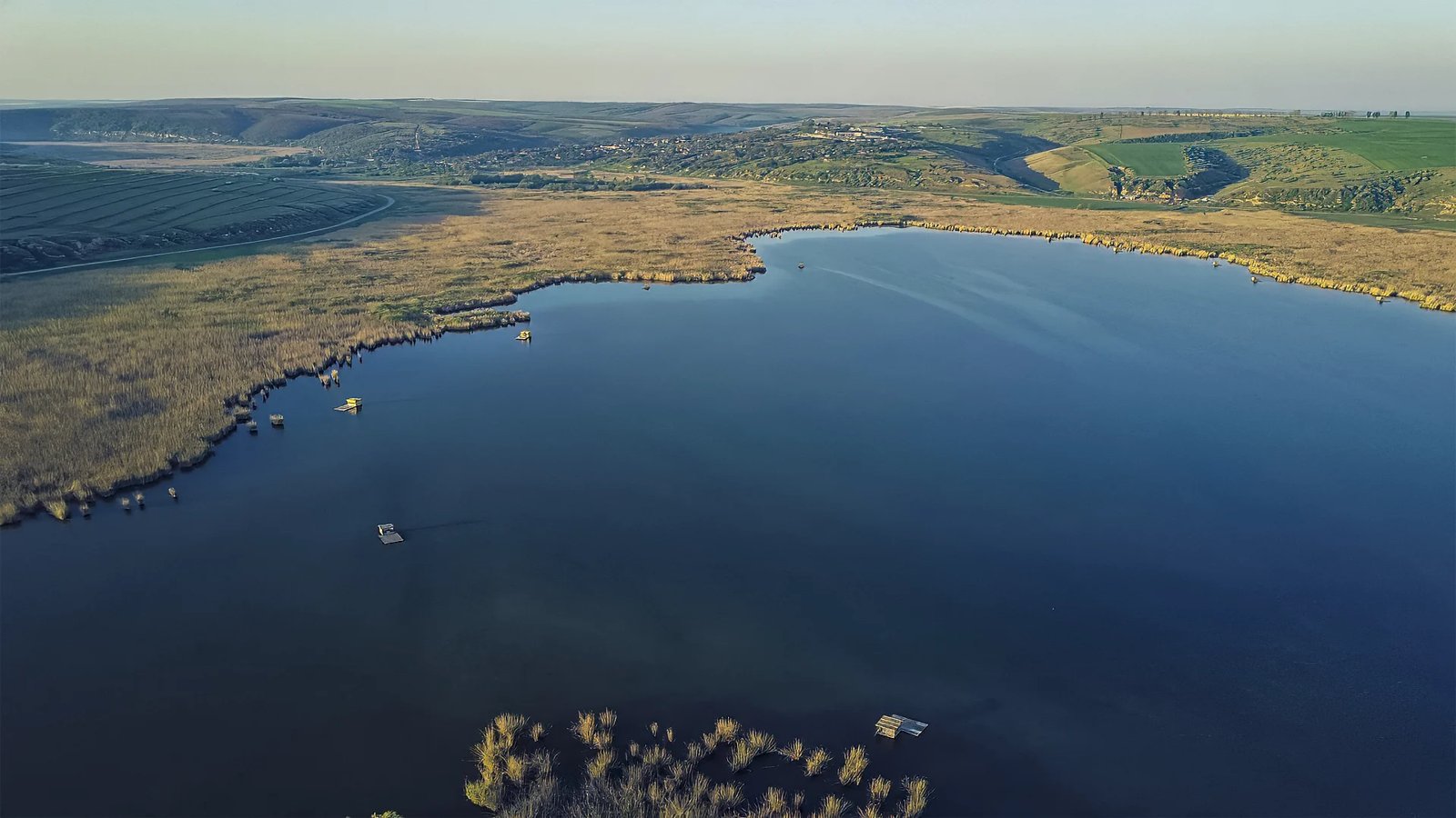 Balta Vlahi