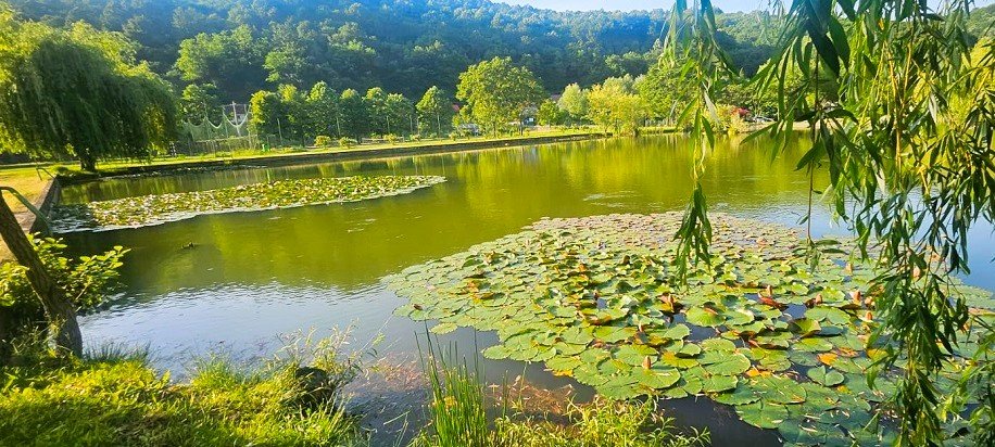 Lacul Complexului Atlantic (Reșița)