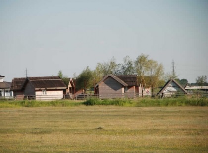 Balta Albina