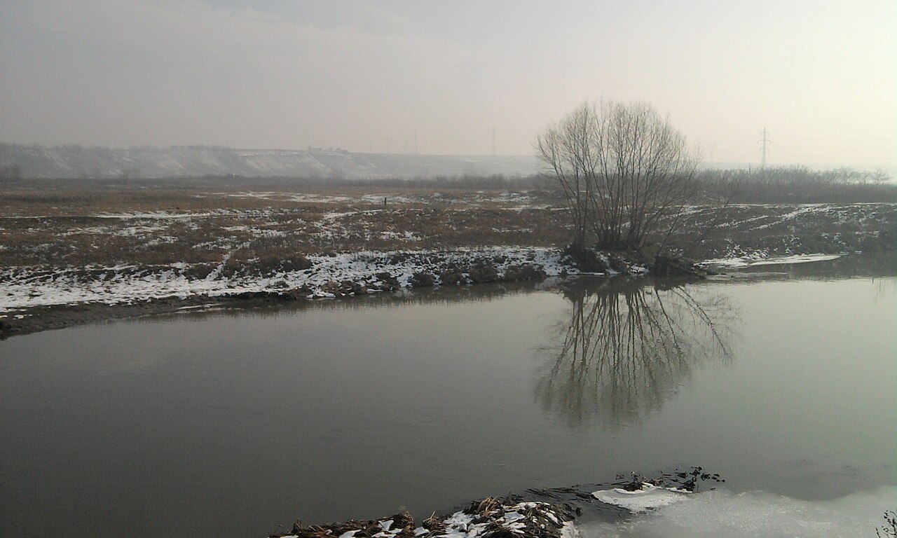 Râul Vedea (Brânceni)