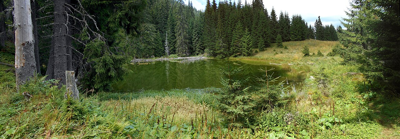 Lacul Tăul Zânelor