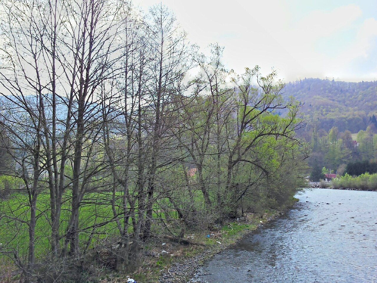 Râul Răstolița
