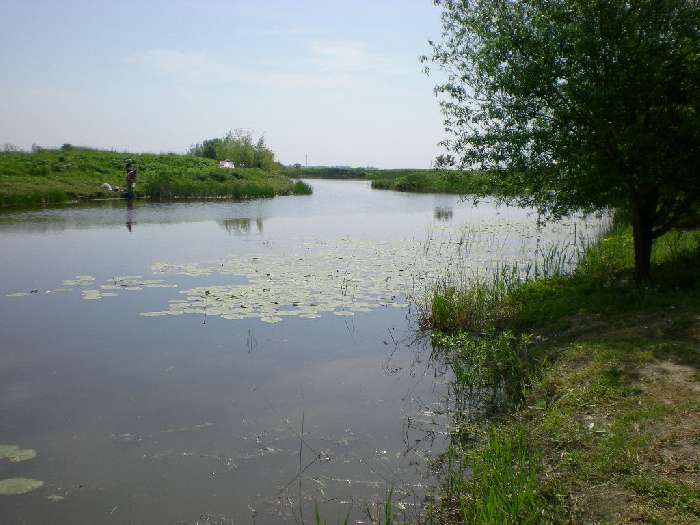 Balta cu Nuferi „La Nica” (Brâncoveni)