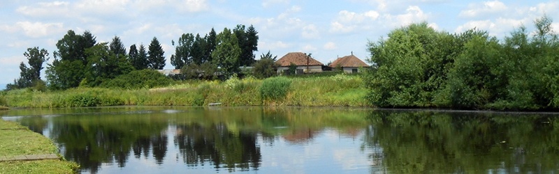 Dumbrăvioara