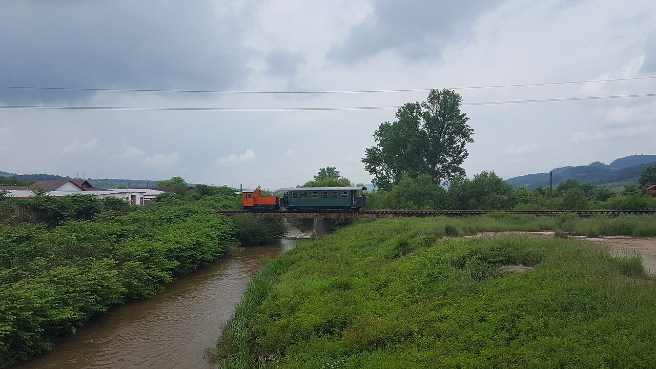 Râul Crișul Alb (Brad)