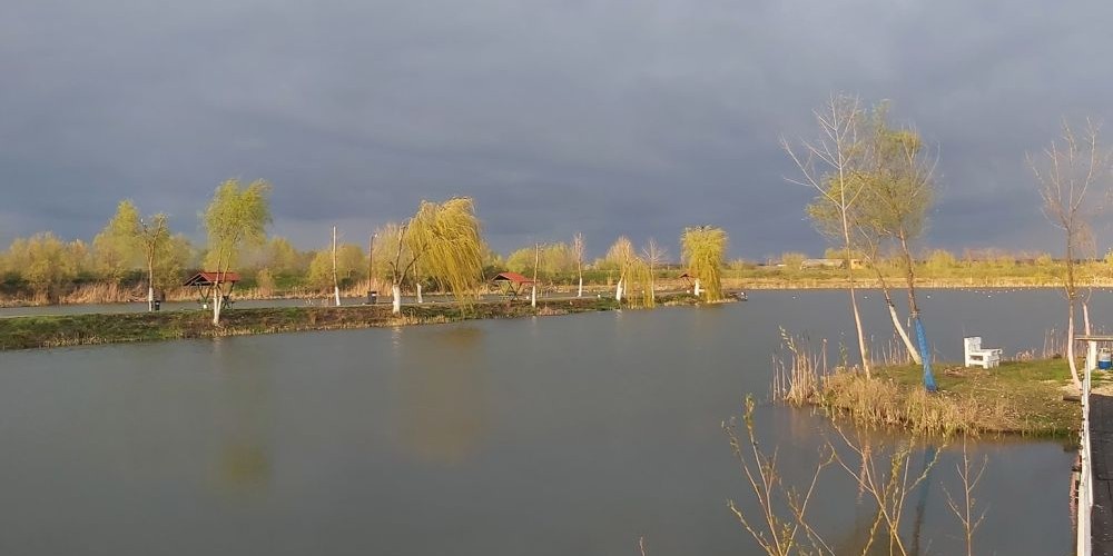 Balta Broșteni - La Busu'