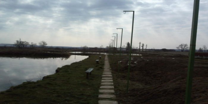Balta Bodo