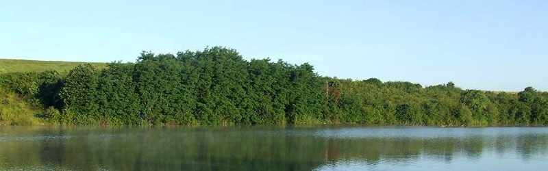 Acumularea Cărăsău