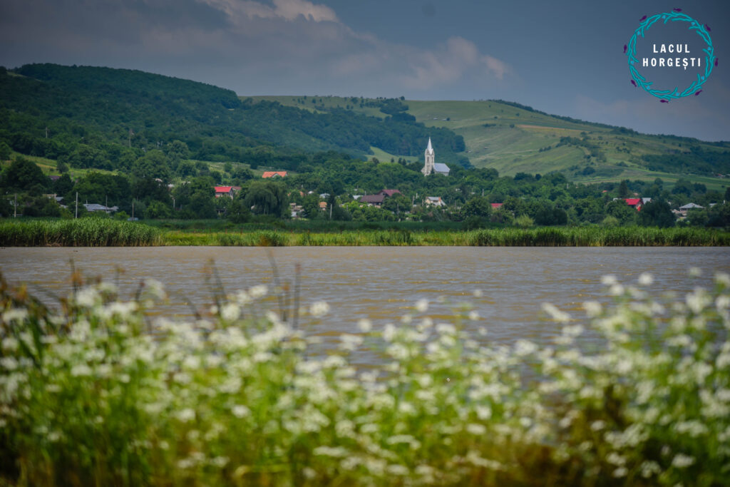 Lacul Horgești