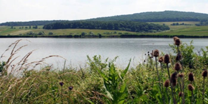 Balta Mehadia
