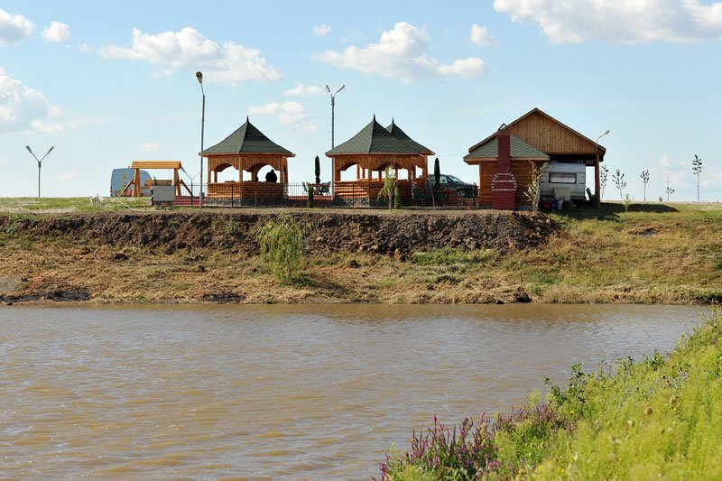 Balta Fitofagu Bârlogu