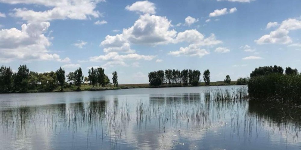 Balta Buzatu (Lacul Giurgița)