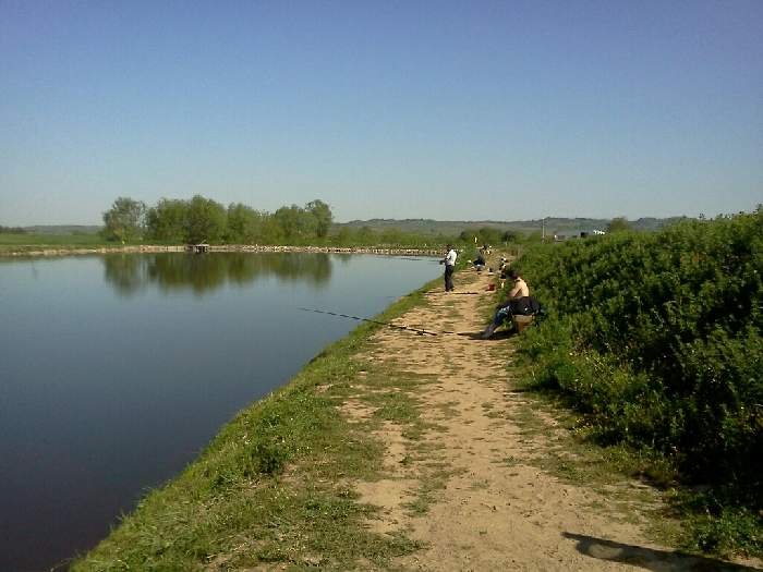 Balta Zorlențu Mare (drumul spre Brebu)