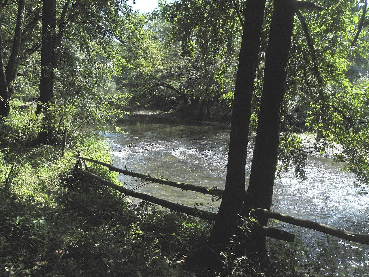 Râul Nera (Pătaș)