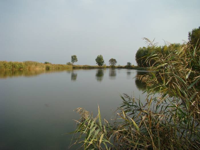 Balta Curtuișeni