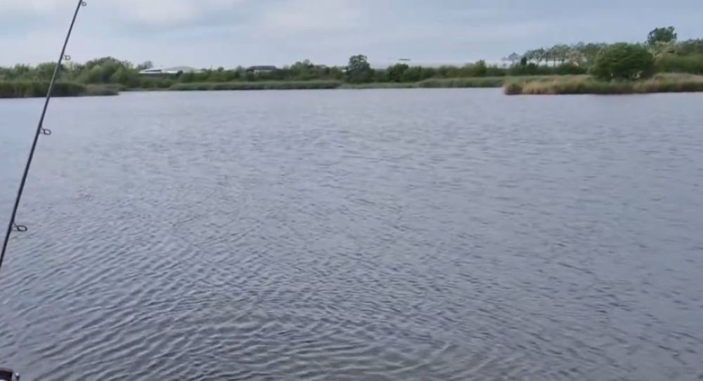 Balta Plăviceni