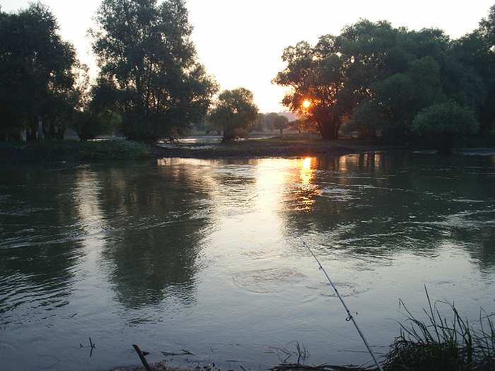 Râul Prut (Colibași)