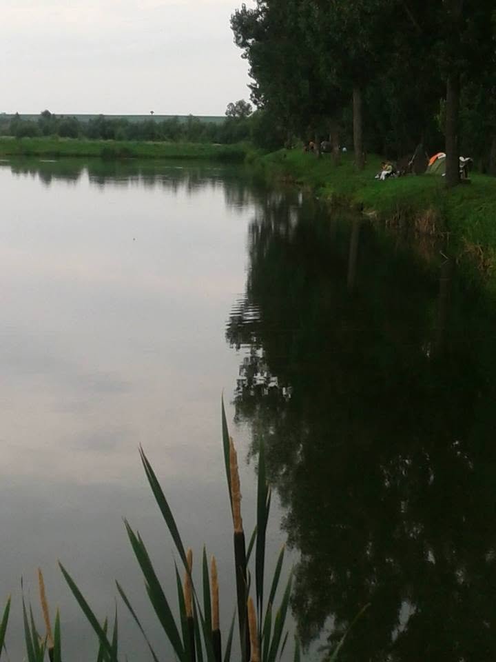 Balta Pir