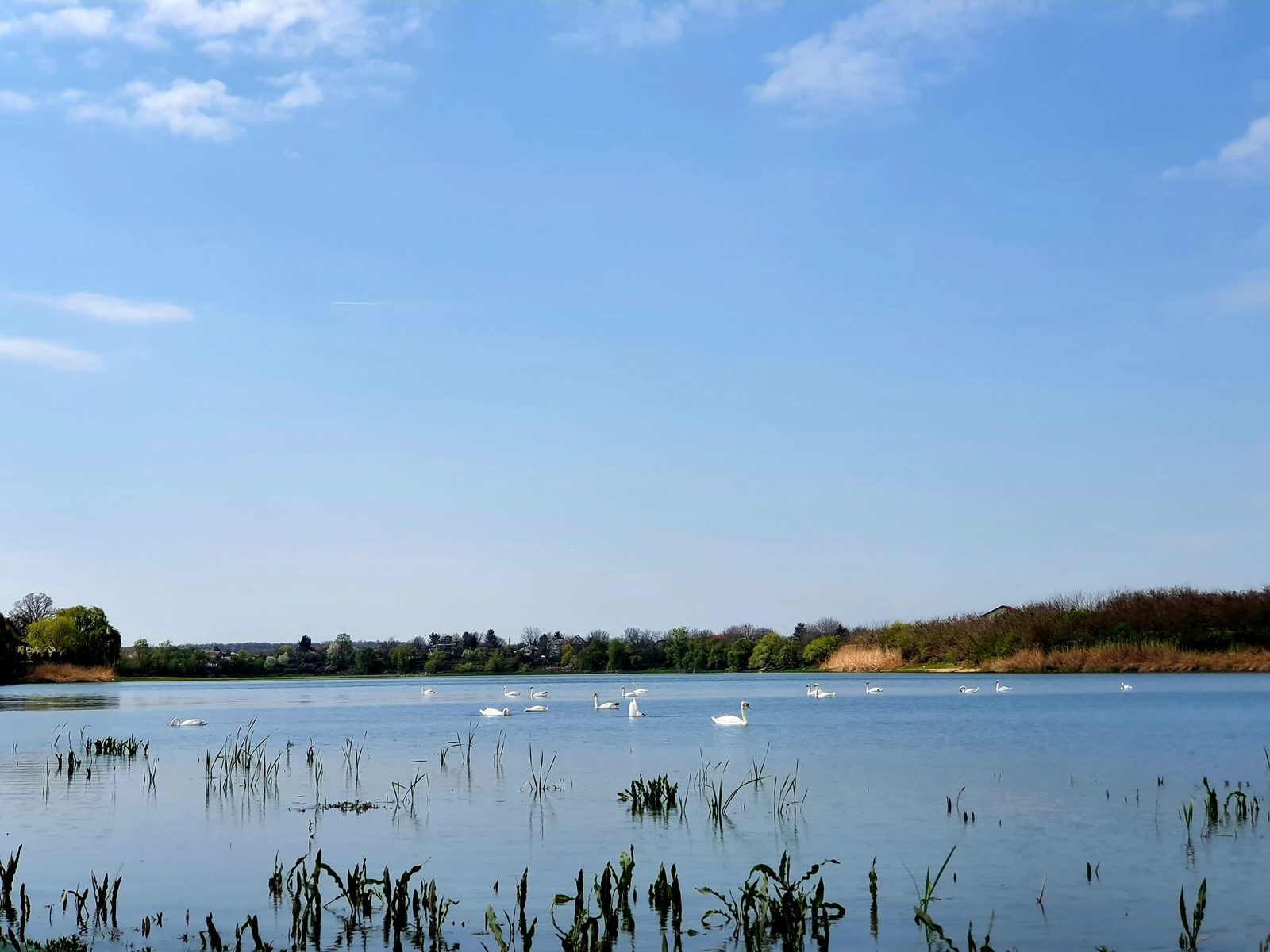 Lacul Zmeului