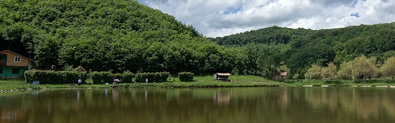 La Amurii Albi