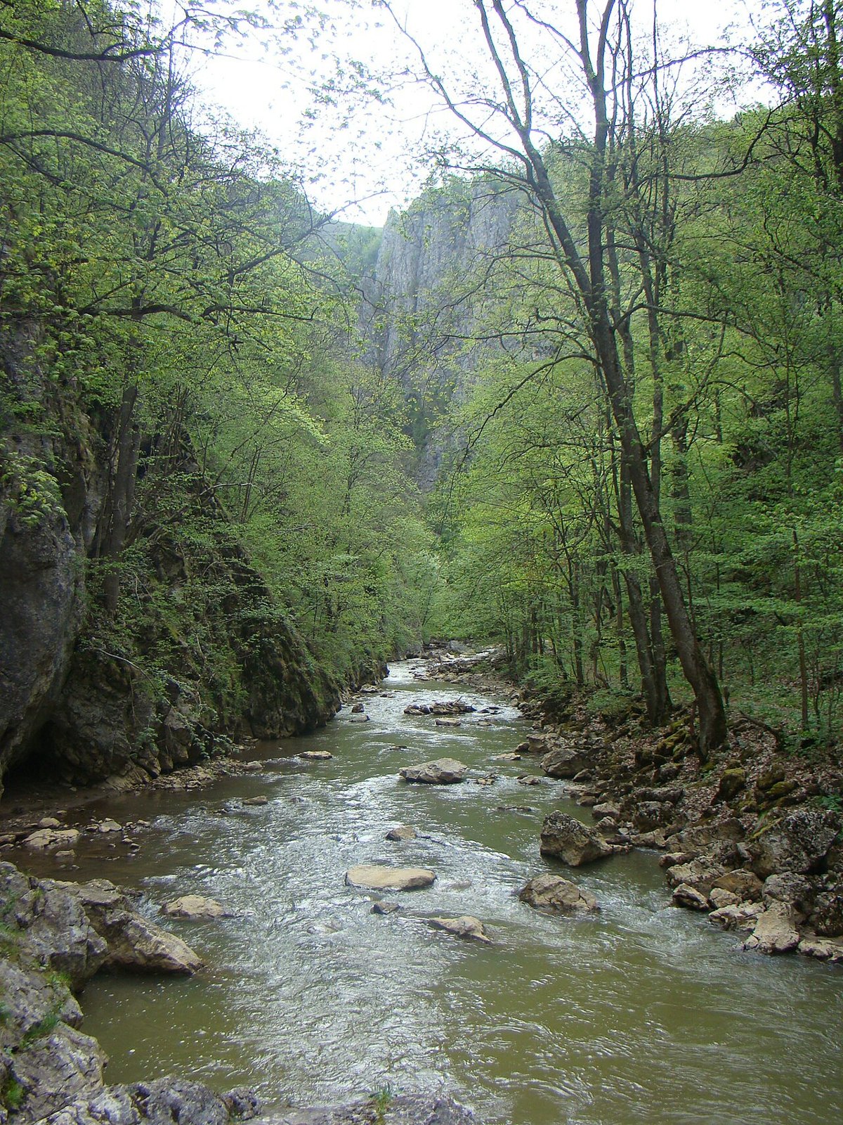 Pârâul Vârghiș (Covasna)