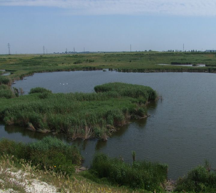 Balta Blebea
