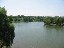 Lacul Tineretului (București)
