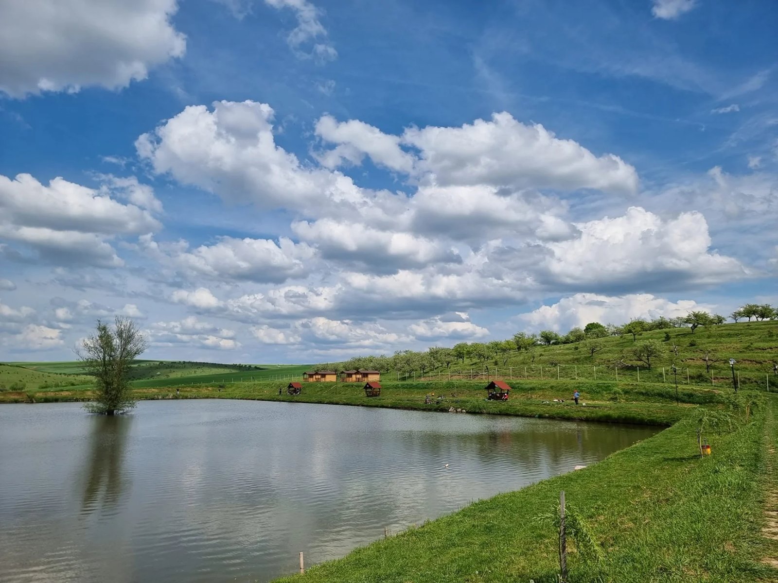 Pescăria Jolța (Tășnad)