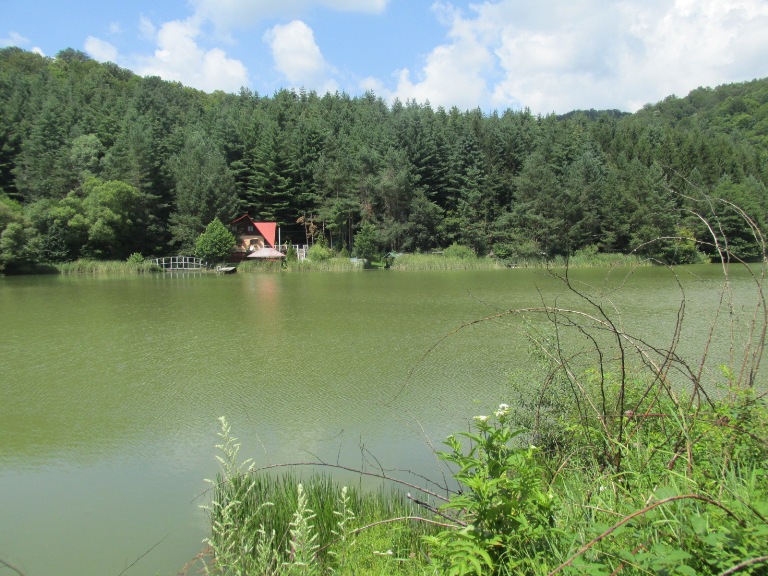 Lacul Miniș (Gura Golumbului)